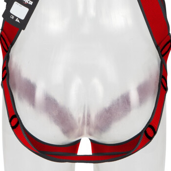 3M1161731保泰特P200五點式全身式安全帶XL紅色圖片1 3M1161731保泰特P200五點式全身式安全帶XL紅色圖片1