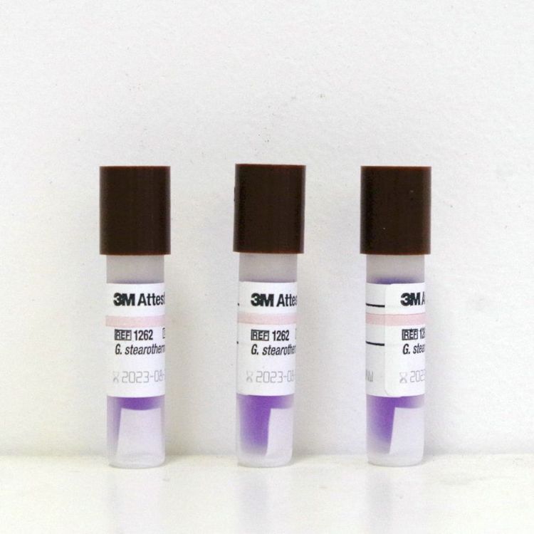 3M1262壓力蒸汽滅菌生物培養指示劑圖片2 3M1262壓力蒸汽滅菌生物培養指示劑圖片2