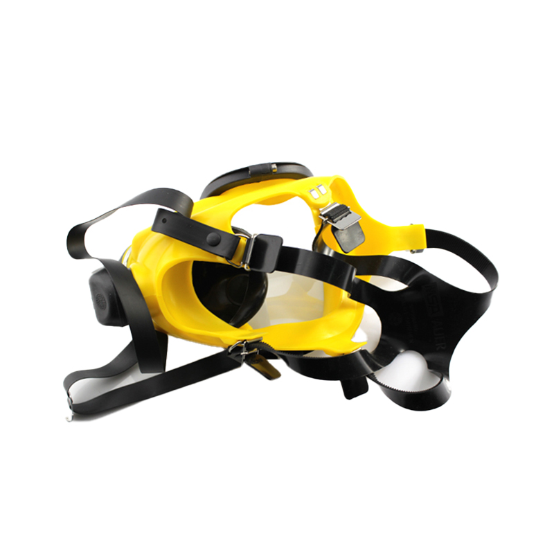 MSA梅思安D2055718-CN Auer 3S寬視野全面罩防毒面具圖片4