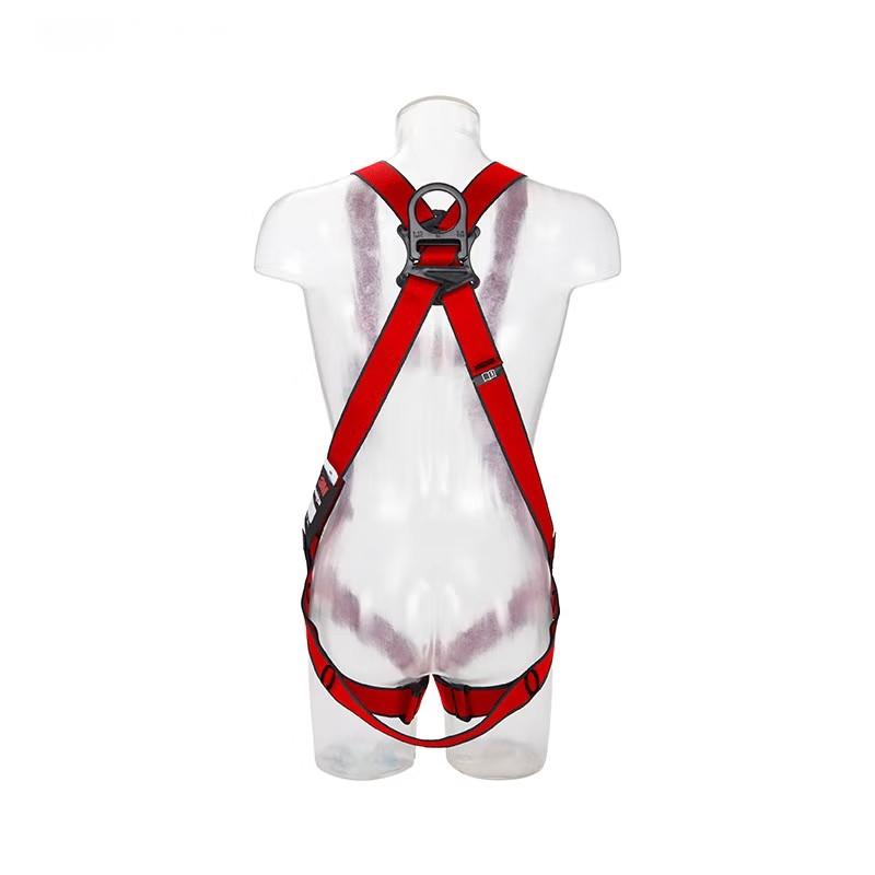 3M1161731保泰特P200五點式全身式安全帶圖片1