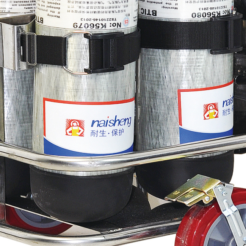 耐生82050011D 9L進(jìn)口碳瓶車載式移動供氣推車圖片1