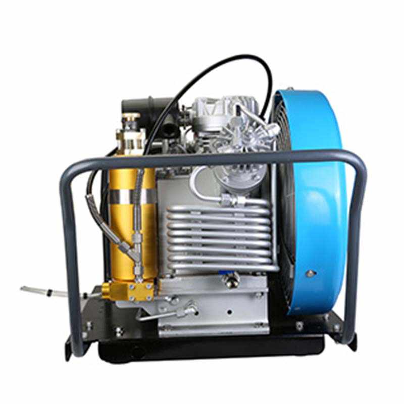 寶恩BBC-200ET呼吸空氣填充泵-臥式可移動簡易款圖片2 寶恩BBC-200ET呼吸空氣填充泵-臥式可移動簡易款圖片2