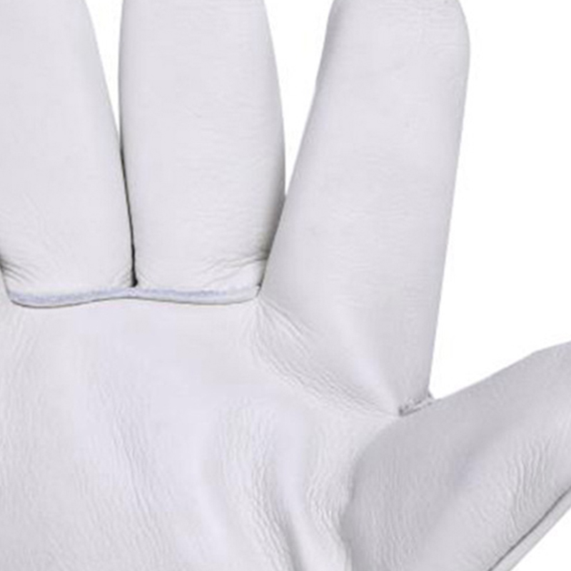 定和DH6301防液氮耐低溫手套冷庫防寒防凍手套36cm圖片1 定和DH6301防液氮耐低溫手套冷庫防寒防凍手套36cm圖片1