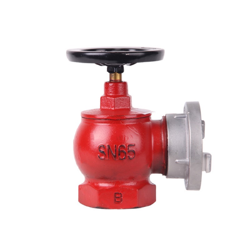 薪薪SN65室內消火栓