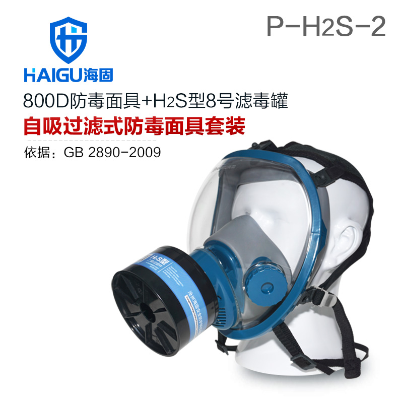 海固HG-800D P-H2S-2硫化氫活性炭防毒面具