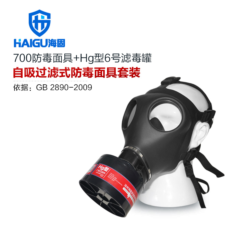 海固HG-700 P-Hg-2全面罩水銀防毒面具