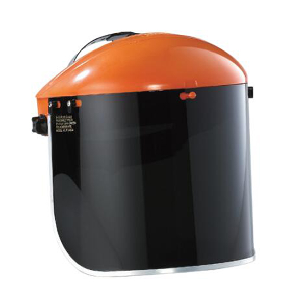 藍(lán)鷹B1OR+FC48G5防護(hù)面罩套裝