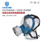 海固HG-800D HG-LV/P-B-2濾毒罐 無機(jī)氣體綜合防護(hù)防毒面具