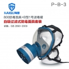 海固HG-800 P-B-3綜合防無機(jī)氣體防毒面具