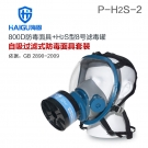 海固HG-800D P-H2S-2硫化氫活性炭防毒面具 海固HG-800D P-H2S-2硫化氫活性炭防毒面具