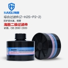 海固Z-H2S-P2-2二級(jí)硫化氫濾毒罐