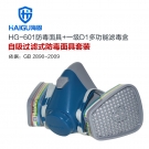 海固HG-601 D-A/B/E/K/H2S-1半面罩多功能綜合防毒面具