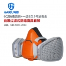 海固HG-602 P-B-1半面罩無(wú)機(jī)氣體防毒面具