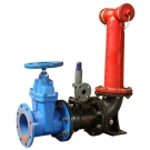 淮海SQS100-1.6地上式消防水泵接合器