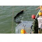 新絡DXS100動態斜面收油機 新絡DXS100動態斜面收油機