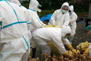 禽流感防護用品