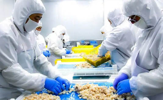 乳膠和丁腈手套哪個耐用