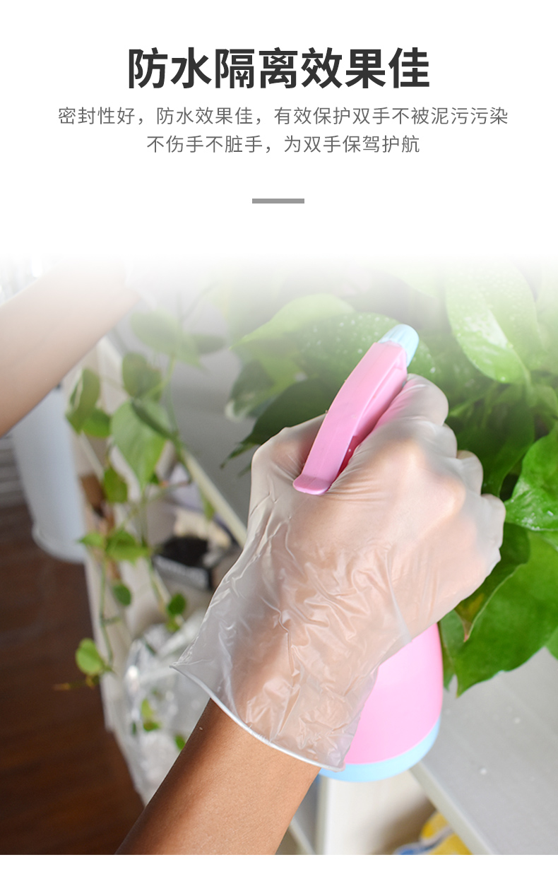 塞莫詩(shī)V902TP防水透明一次性PVC手套圖片10