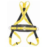霍尼韋爾(巴固)DL-35雙掛點(diǎn)經(jīng)濟(jì)型全身安全帶,配有定位腰帶 霍尼韋爾(巴固)DL-35雙掛點(diǎn)經(jīng)濟(jì)型全身安全帶,配有定位腰帶