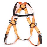 代爾塔501011 HAR11經濟型安全帶 代爾塔501011 HAR11經濟型安全帶