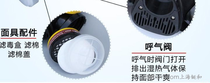 DH20154全面罩防毒面具細(xì)節(jié)圖2