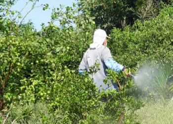 噴灑農藥過程中的個人防護
