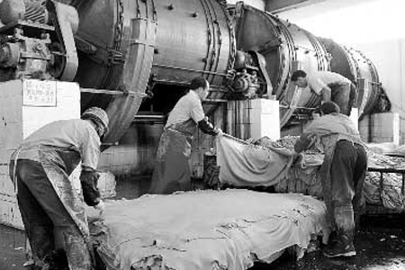 皮革制造企業的工人沒戴任何防護用品對廢舊皮革進行加工切割